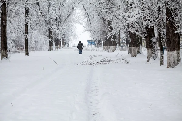 下雪在公园里的景观 — 图库照片