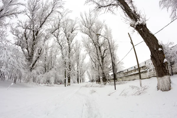 雪の公園での風景 — ストック写真