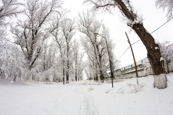 Paysage de neige dans le parc — Photo