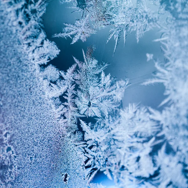 氷のテクスチャと背景 - ガラスの花。高解像度、シャープ、美しい詳細 — ストック写真