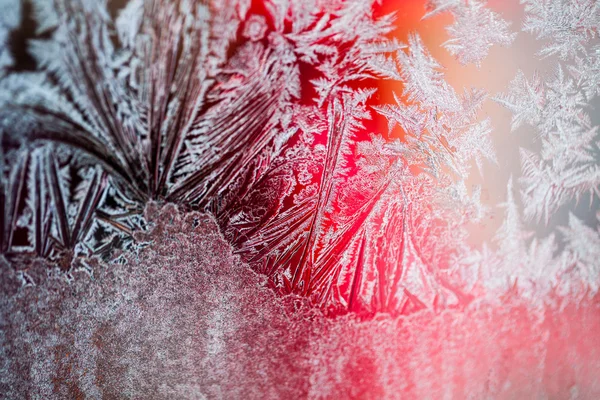 Ice flowers on glass - texture and background. High resolution and sharp, beautiful details