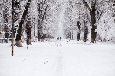 Peyzaj Park kar yağışı 
