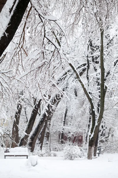 Snöar landskap i parken — Φωτογραφία Αρχείου