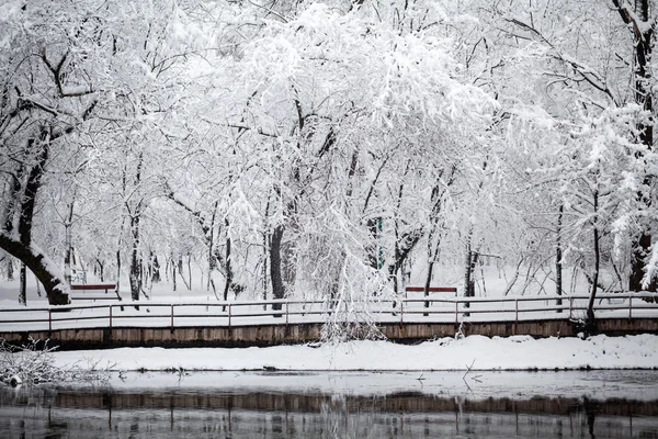 Sneeuwt landschap in het park — Stockfoto