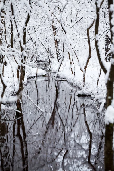 Snowing landscape in the park — Stock Photo, Image