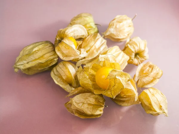 Primer plano de Physalis peruviana frutas con fondo gris claro y reflexiones —  Fotos de Stock