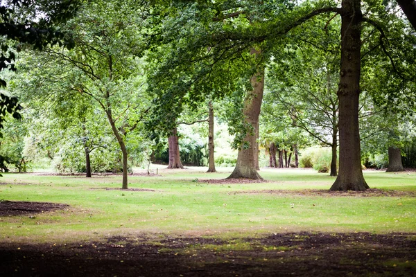 Вид из Королевского ботанического сада Кью в Лондоне — стоковое фото