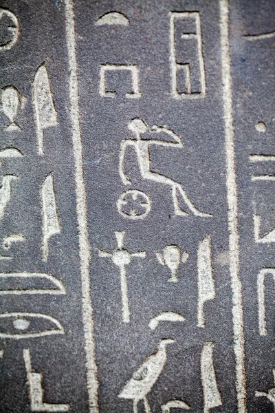 29. 07. 2015, Londýn, Velká Británie, Britské muzeum hieroglyfy na egyptské rakve — Stock fotografie
