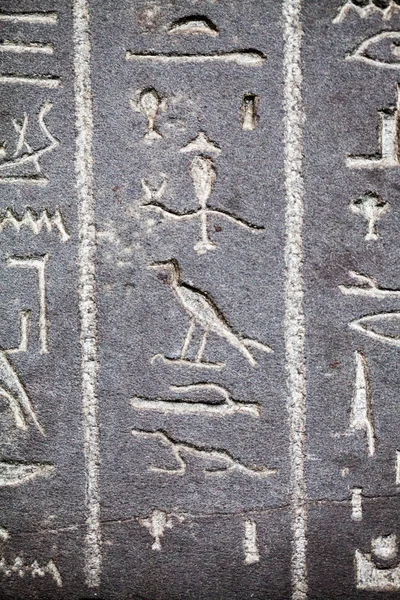 29. 07. 2015, london, uk, britisches Museum Hieroglyphen auf ägyptischen Särgen — Stockfoto