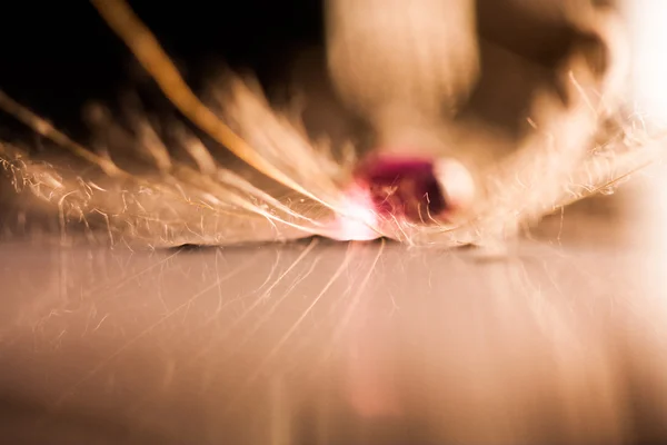 Macro, composição abstrata com gotas de água coloridas em sementes de dente de leão — Fotografia de Stock