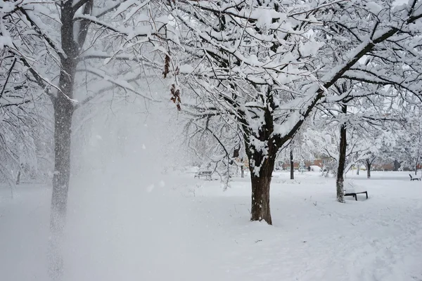 Paisaje invernal en el parque — Foto de Stock