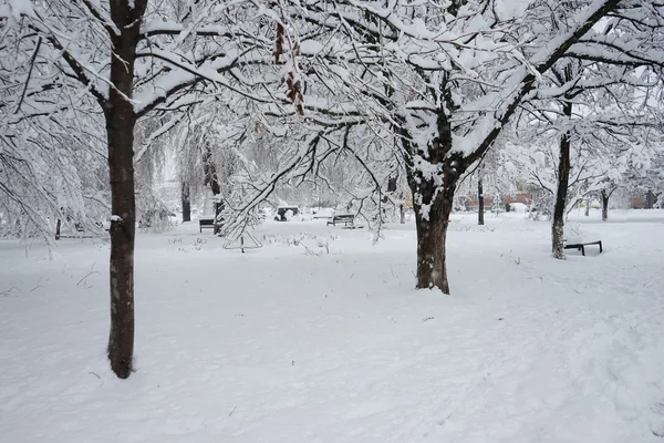 Paisaje invernal en el parque — Foto de Stock