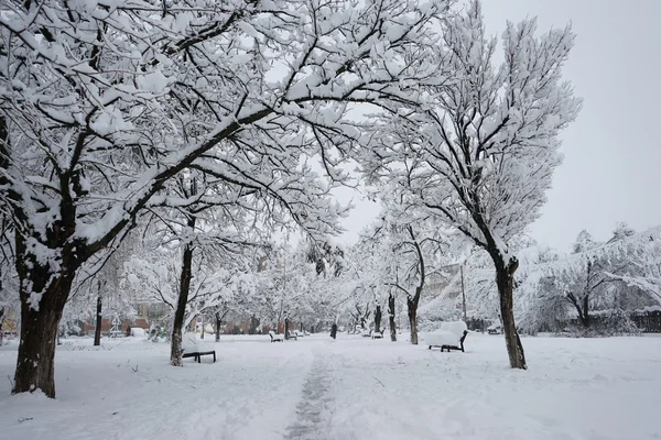 Paisaje invernal en el parque — Foto de Stock