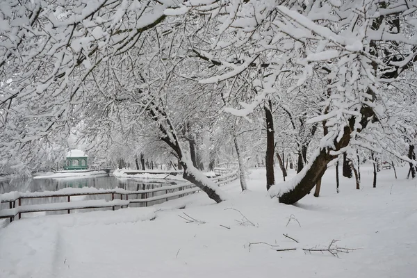 Winterlandschap in het park — Stockfoto