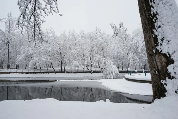 Paisaje invernal en el parque — Foto de Stock