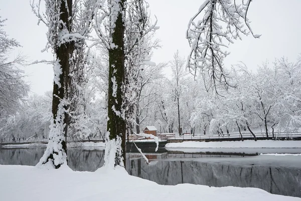 Winterlandschap in het park — Stockfoto