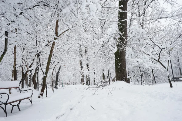 Paisaje invernal en el parque — Foto de Stock