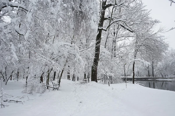 Paisaje invernal en el parque — Foto de Stock