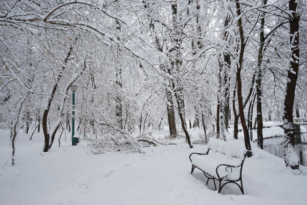 Winter landscape in the park