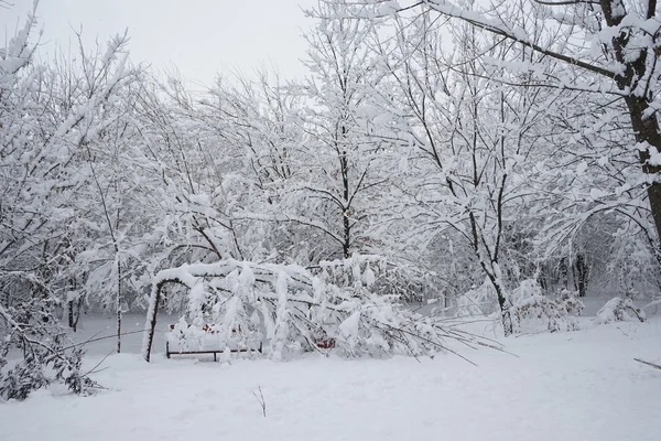 A parkban fekvő havazik. Nagy felbontású és szép hó részletek — Stock Fotó