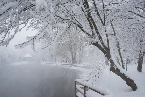 Sneeuwt landschap in het park. Hoge resolutie en prachtige sneeuw details — Stockfoto