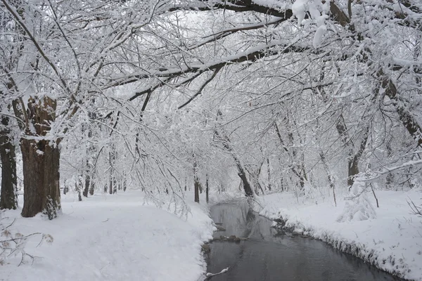 Nieva paisaje en el parque. Alta resolución y hermosos detalles de nieve — Foto de Stock