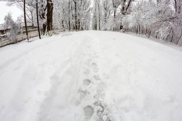 Paysage de neige dans le parc. Effets de lentille Fisheye — Photo