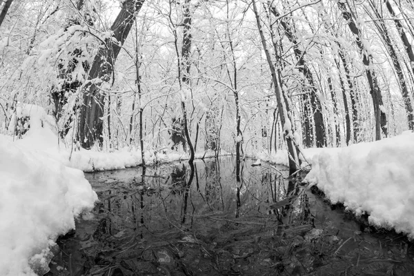 Paysage hivernal dans le parc — Photo