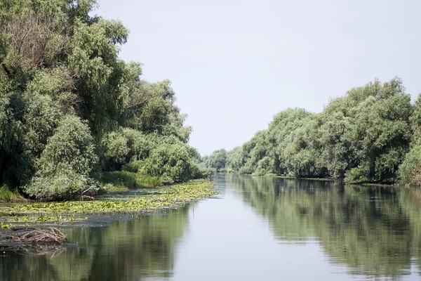 Danube Delta landscape - Romania — Stock Photo, Image