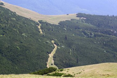 Romanya 'daki Güney Karpatlar' ın bir parçası olan Bucegi Dağları 'ndan manzara 