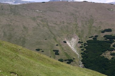 Romanya 'daki Güney Karpatlar' ın bir parçası olan Bucegi Dağları 'ndan manzara 