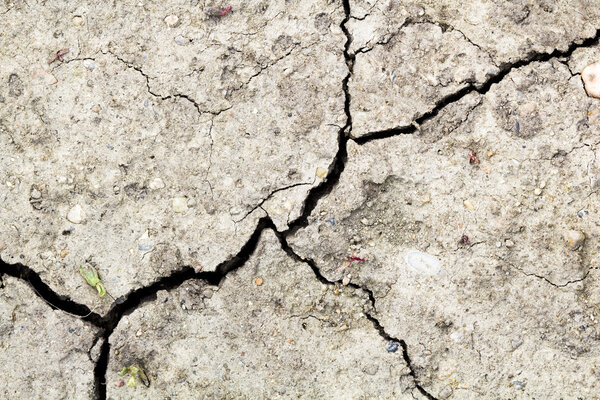 Cracked soil - texture and background 