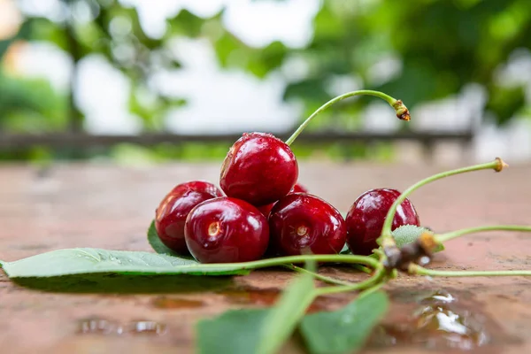 Cerezas Frescas Maduras Sabrosas Sobre Una Superficie Oxidada —  Fotos de Stock