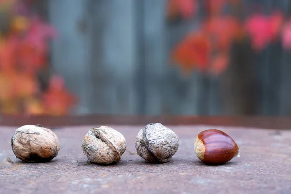 Zoete Kastanje Walnoten Een Roestige Tafel — Stockfoto