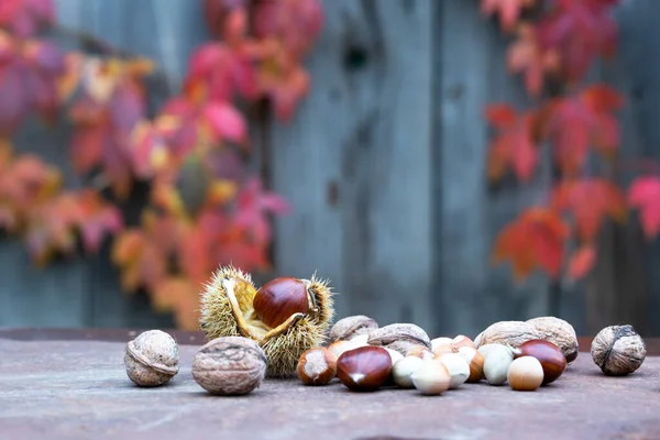 殻と甘い栗 錆びたテーブルの上のクルミとヘーゼル — ストック写真