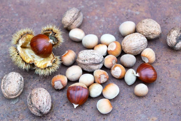 Castaño Dulce Con Cáscara Nueces Avellanas Sobre Una Mesa Oxidada —  Fotos de Stock