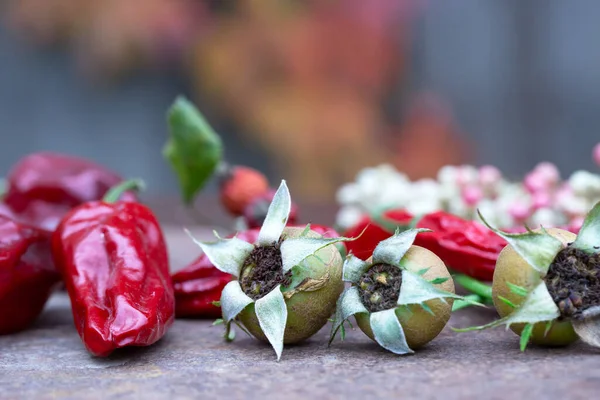 Složení Sušenou Paprikou Růžovými Boky Růžovým Pepřem Zrezivělém Stole — Stock fotografie