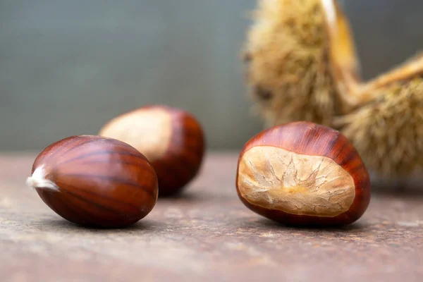 Sweet Chestnut Shell Rusty Table — Stock Photo, Image
