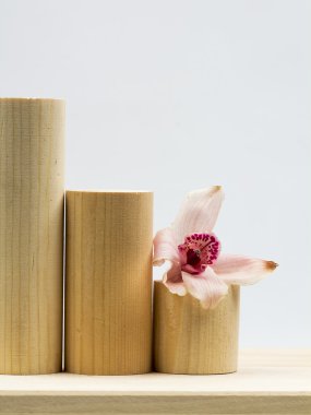 ahşap silindir ve orkide ile açık gri renkli