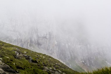 Peyzaj bucegi Dağları, Güney Karpatlar-Romanya çok sisli bir günde bir parçası