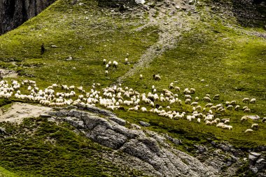 Romanya 'daki Güney Karpatlar' ın bir parçası olan Bucegi Dağları 'ndan manzara