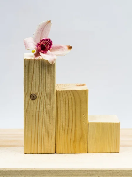 Wooden geometrical pieces with orchid and light grey background — Stock Photo, Image