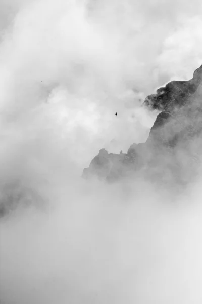 Landscape from Bucegi Mountains, part of Southern Carpathians in Romania in a very foggy day — Stock Photo, Image