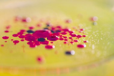 streszczenie, kolorowy kompozycja z oliwą, wodą i atrament