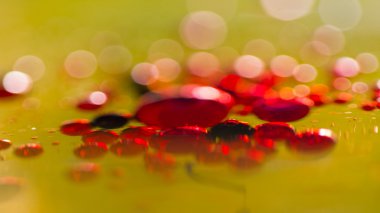 streszczenie, kolorowy kompozycja z oliwą, wodą i atrament