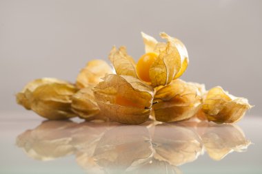 physalis peruviana meyve ile açık gri renkli ve yenilgileri closeup