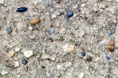 çok eski taş dokulu ve yosun