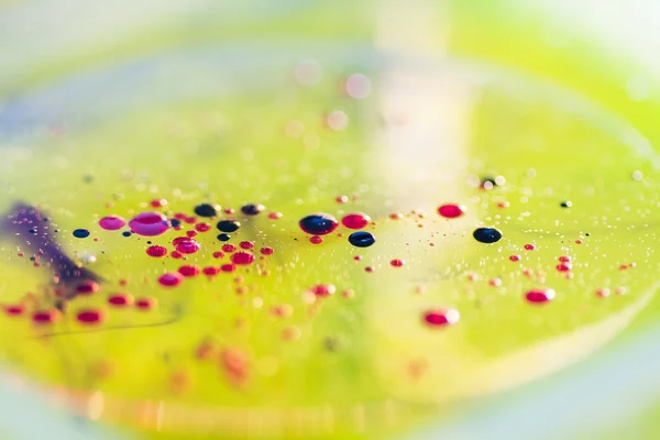 Composición abstracta y colorida con aceite, agua y tinta — Foto de Stock