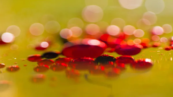 Abstract, kleurrijke samenstelling met olie, water en inkt — Stockfoto