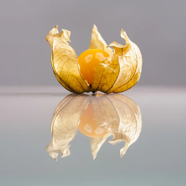 Primer plano de Physalis peruviana frutas con fondo gris claro y reflexiones —  Fotos de Stock